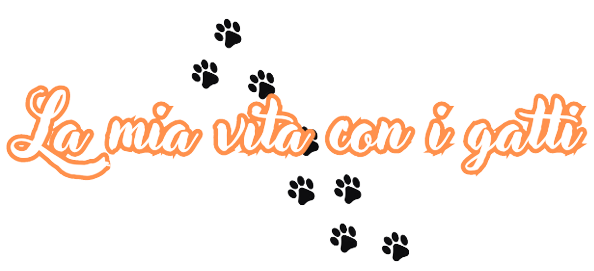 La mia vita con i gatti 